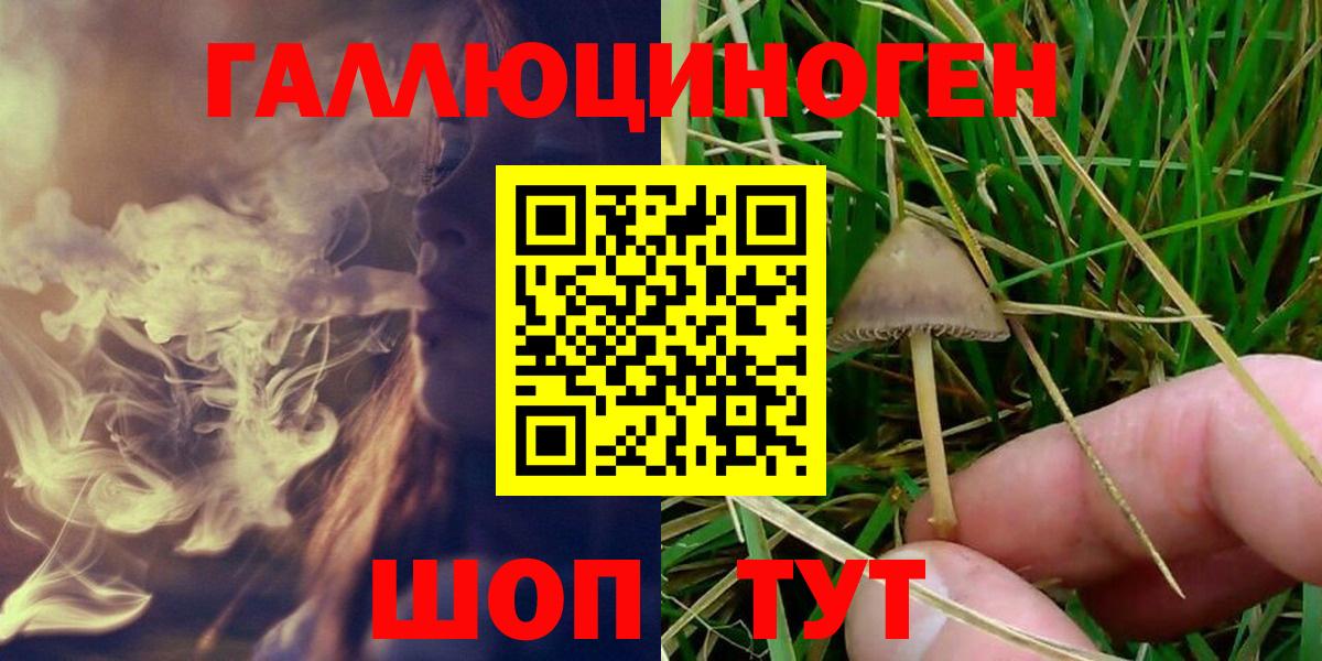 Галлюциногенные грибы Psilocybe Кимовск
