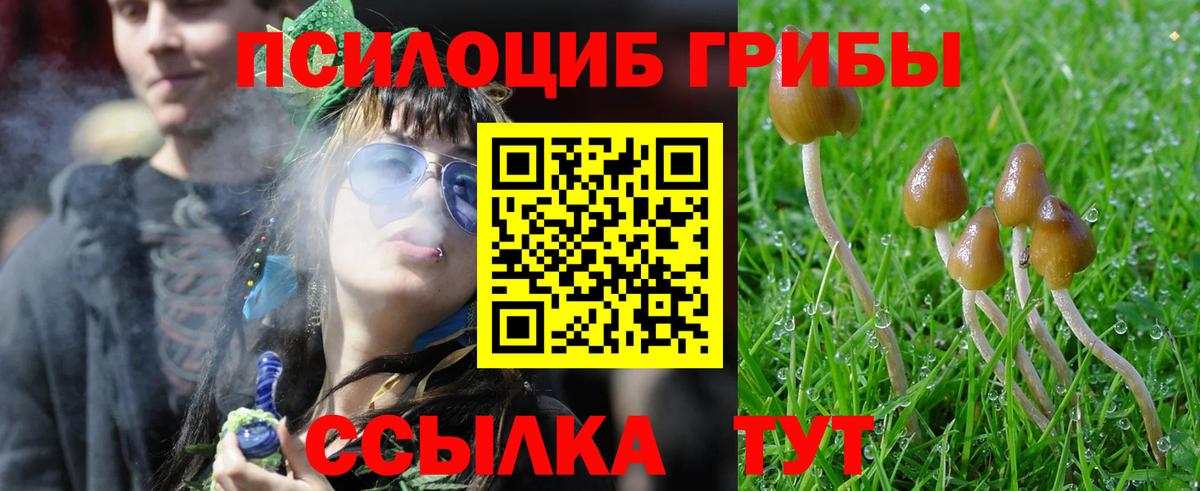 Псилоцибиновые грибы MAGIC MUSHROOMS  Вход с VPN  Кимовск  Псилоцибиновые грибы Psilocybine cubensis 