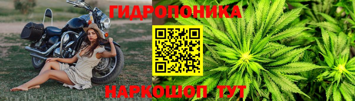 Конопля ГИДРОПОН  Бошки марихуана Amnesia  Вход с VPN  Кимовск 